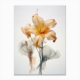 Pressed Flower Botanical Art Lily 3 Canvas Print