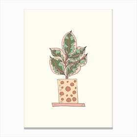 Ficus Ruby In A Pot Canvas Print