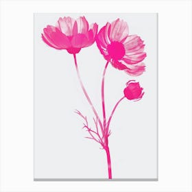 Hot Pink Daisy 1 Canvas Print