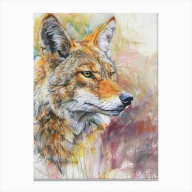 Coyote Pastel Watercolour 1 Leinwandbild