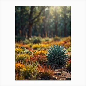 Cactus Garden Canvas Print