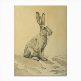 Flemish Giant Rabbit Drawing 1 Canvas Print