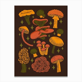 Texas Mushrooms   Dark Multicolor Canvas Print