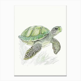 Flatback Sea Turtle (Natator Depressus), Sea Turtle Quentin Blake Illustration 1 Canvas Print