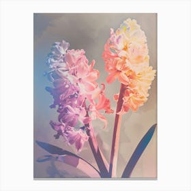 Iridescent Flower Hyacinth 1 Canvas Print