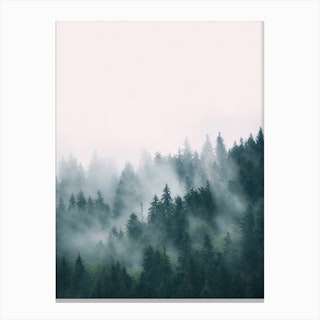 Fog And Forest Art Print By Sisi And Seb Fy