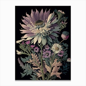 Asters Wildflower Vintage Botanical 2 Canvas Print