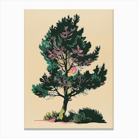 Juniper Tree Colourful Illustration 2 Canvas Print