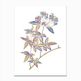 Stained Glass Lady Bank's Rose Mosaic Botanical Illustration on White Canvas Print
