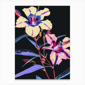 Neon Flowers On Black Phlox 1 Canvas Print