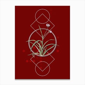Vintage Spiderwort Botanical with Geometric Line Motif and Dot Pattern n.0378 Canvas Print