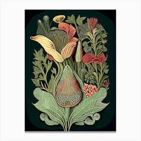 Beard Tongue Wildflower Vintage Botanical 2 Canvas Print