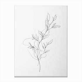 Lily Of The Valley 7 Canvas Print