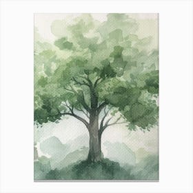 Oak Tree Atmospheric Watercolour Painting 2 Canvas Print