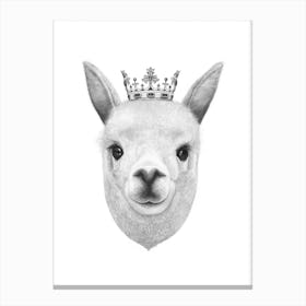 The King Llama Canvas Print