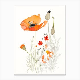 California Poppy Spices And Herbs Pencil Illustration 1 Canvas Print
