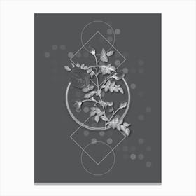 Vintage Silver Flowered Hispid Rose Botanical with Line Motif and Dot Pattern in Ghost Gray Canvas Print
