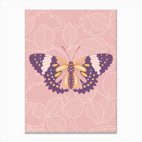 Butterfly In Pink Background From Rose Canvas Print