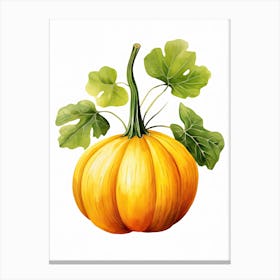 Buttercup Squash Pumpkin Watercolour Illustration 2 Canvas Print