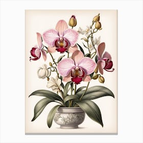 Orchids In A Vase Canvas Print