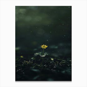 Flower In The Dark 71 Canvas Print