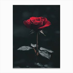 Red Rose 30 Canvas Print