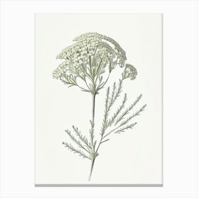 Yarrow Floral Quentin Blake Inspired Illustration 1 Flower Canvas Print