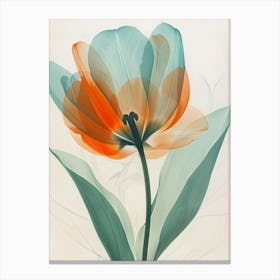 Tulip 7 Canvas Print