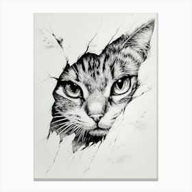 Angry Cat Watching from Wall Hole 18 Canvas Print