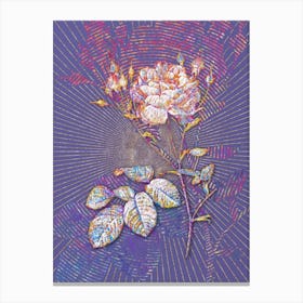 Geometric Pink Cumberland Rose Mosaic Botanical Art on Veri Peri n.0202 Canvas Print