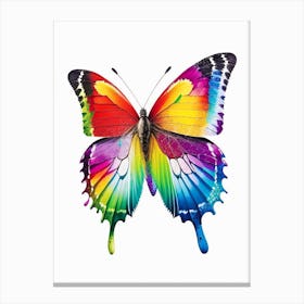 Butterfly On Rainbow Decoupage 5 Canvas Print