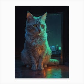 Cat In The Mirror Canvas Print