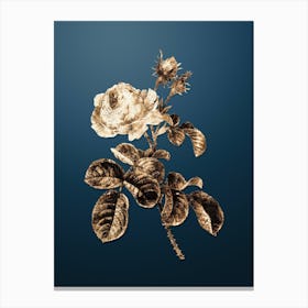 Gold Botanical Provence Rose on Dusk Blue n.1322 Canvas Print