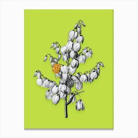 Vintage Aloe Yucca Black and White Gold Leaf Floral Art on Chartreuse n.1071 Canvas Print