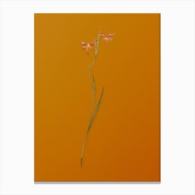 Vintage Gladiolus Watsonius Botanical on Sunset Orange n.0412 Canvas Print