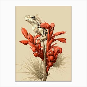 Red Tree Frog Vintage Botanical 1 Canvas Print