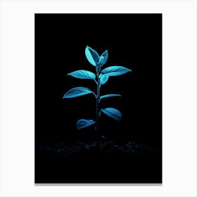 Neon Plant 21 Canvas Print