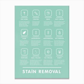 Stain Removal Instruction With Bohemian Style Laundry And Stylish   Canvas Print