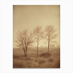 Three Trees In A Field Canvas Print