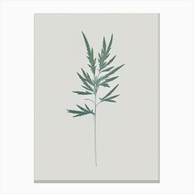 Mugwort Herb Simplicity Canvas Print