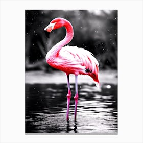 Flamingo Pink - Flamingo Bird Canvas Print