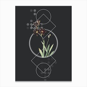 Vintage Ixia Grandiflora Botanical with Geometric Line Motif and Dot Pattern n.0371 Canvas Print