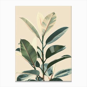 Rubber Plant Minimalist Illustration 2 Canvas Print