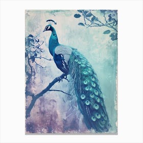 Vintage Turquoise Peacock In A Tree Canvas Print
