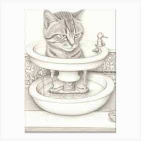 Cat In Sink 1 Canvas Print