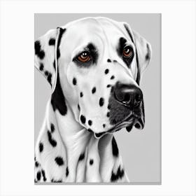 Dalmatian B&W Pencil dog Canvas Print