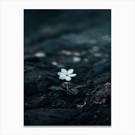 White Flower 24 Canvas Print