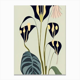 Jack In The Pulpit Wildflower Modern Muted Colours 1 Canvas Print