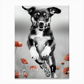 Hey You, a jumping puppy Canvas Print