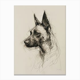 Belgian Malinois Dog Charcoal Line 1 Canvas Print